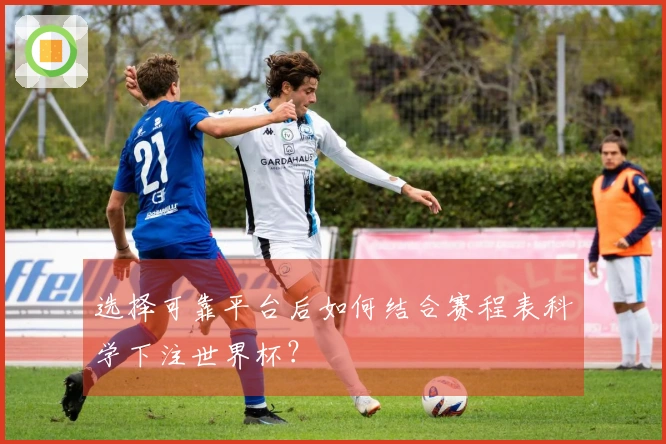 选择可靠平台后如何结合赛程表科学下注世界杯？