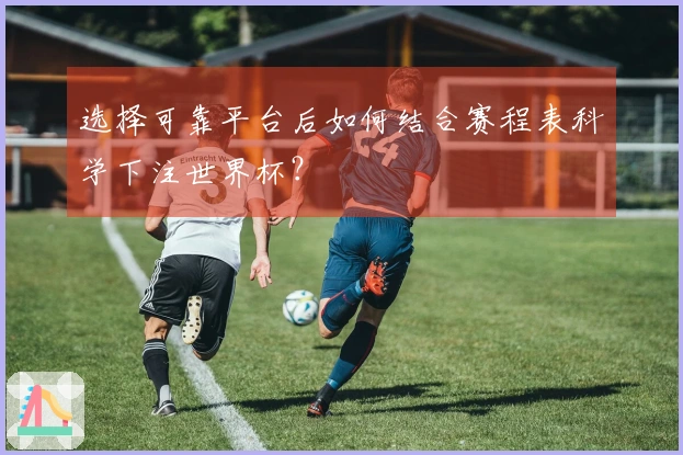 选择可靠平台后如何结合赛程表科学下注世界杯？