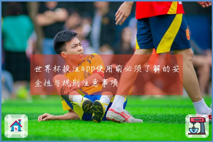 世界杯投注app使用前必须了解的安全性与规则注意事项